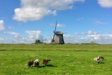 Amsterdam Private Tour Off the Beaten Path