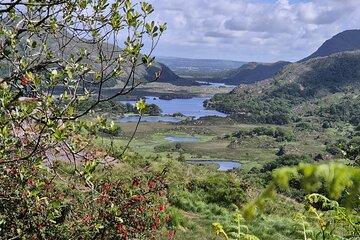 Ring of Kerry and Killarney Ireland Private Day Tour
