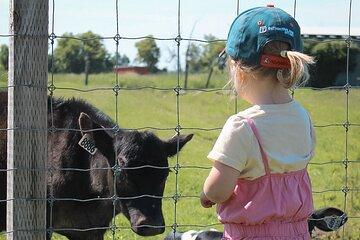 Ottawa Valleyview Little Animal Farm Tour