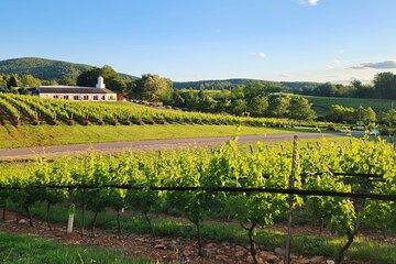 Private Charlottesville Area Wine Tour