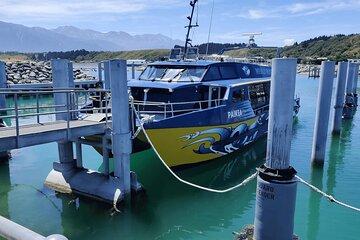 Full Day Kaikoura Tour Whale Watching Seals and Scenic Coast