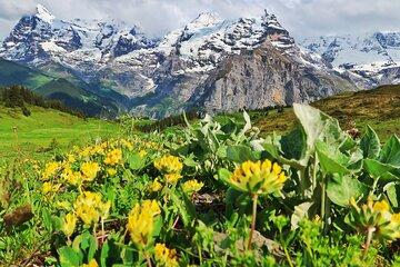 Hike Lauterbrunnen-Murren including Trummelbach Waterfalls Visit