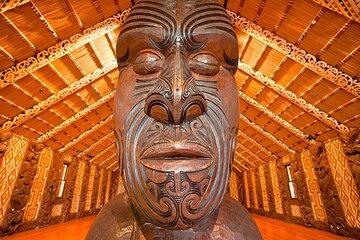 Waitangi Treaty Grounds Tour from Auckland