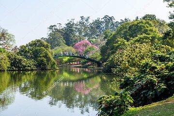 Shared tour of the tourist attractions of São Paulo