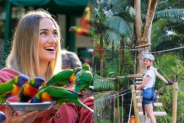 Currumbin Wildlife Sanctuary Pass + The Treetop Challenge
