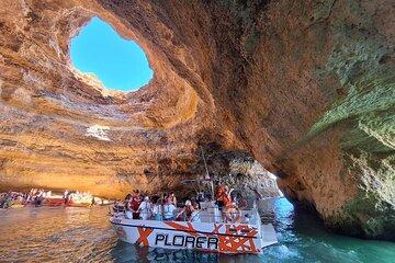 Shared Experience Dolphin and Caves in Benagil