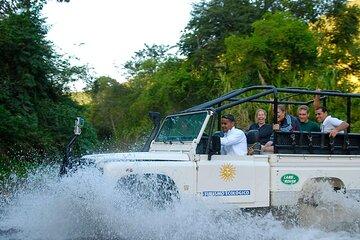 Jeep Tour in Paraty Exclusive Adventure and Nature