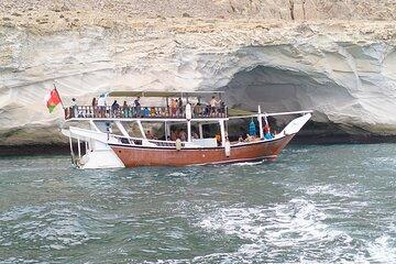 Private Dibba Al-Baya Dolphin Watching Tour from Dubai