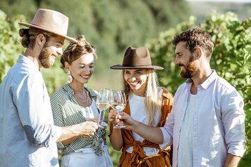 Cape Winelands - Secret Cellars Wine Tasting and Lunch