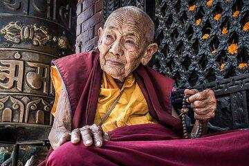 Guided Sarnath Visit from Varanasi