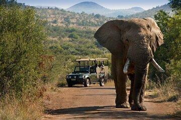 3 Days Pilanesberg Safari at Bakubung Lodge with Open Drives