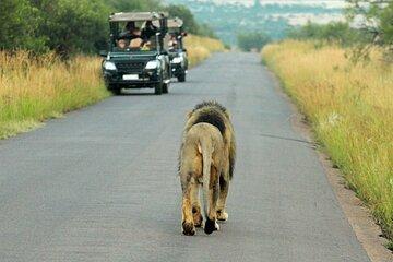 4 Days Pilanesberg Safari at Bakubung Lodge with Open Drives