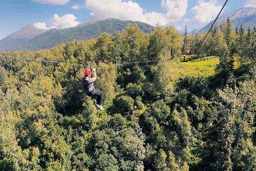 Zipline & Working Homestead Tour