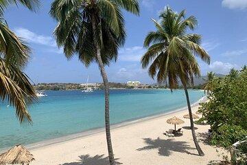 St. Thomas Beach Day: Local Rum Tasting and Cocktails