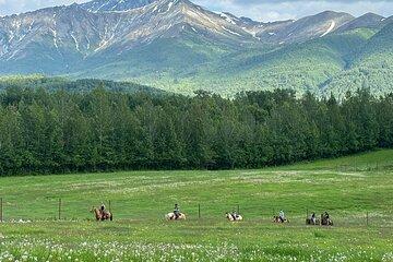 Trail Ride and Working Homestead Tour