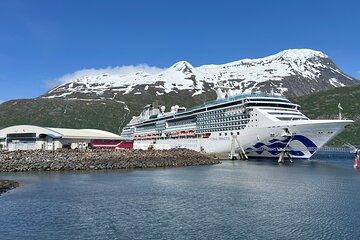5 Person Private Whittier to Anchorage OR Anchorage to Whittier