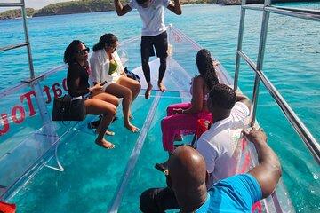 Flamingos Transparent Boat Trip and Chill at Beach