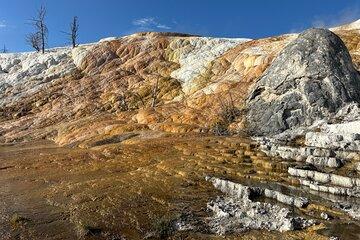 Private Yellowstone Park SUV Tour from Bozeman and Big Sky