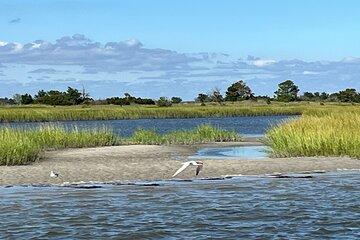 Masonboro Island Ferry