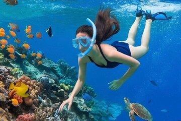 Bali Snorkeling Blue Lagoon Beach Include Lunch & Transport