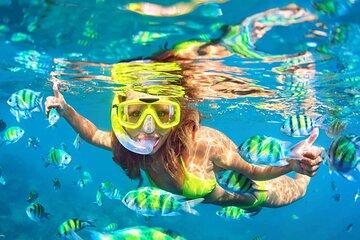 Cebu Island Hopping: 3 Islands plus Pandanon Island with Lunch