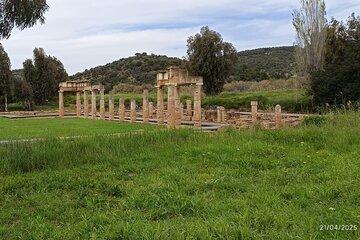 Walk with the Gods: Artemis and Poseidon Private Tour