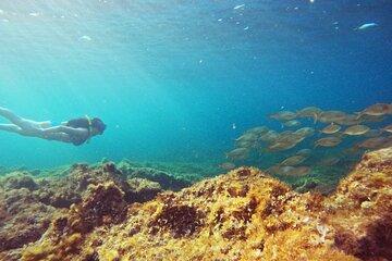 Snorkel Tour in Malta by local guide