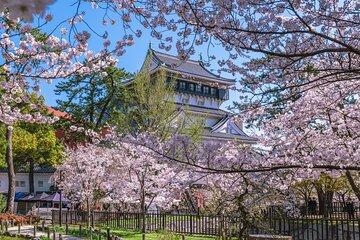 Moji Port, Karado Market, Kokura Castle & Miyajitake Shrine Tour