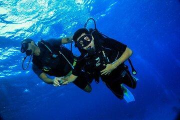 Coral Gardens Adventure Diving, Snorkeling and Lunch Marsa Alam