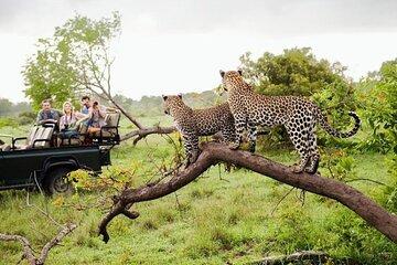 Sri Lanka Wildlife Tour Five Days Including Fees