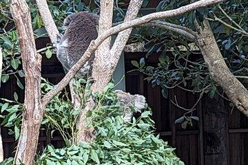 Wollongong Sightseeing Guided Day Tour