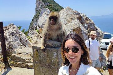Gibraltar Day Trip from Cádiz Shore with Rock Tour
