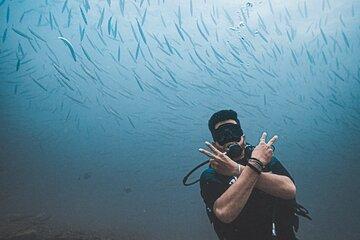 Discover Scuba Diving