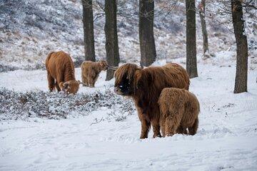 3 Day Tour of Isle of Skye, Glencoe, Inverness and Loch Ness