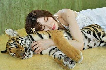 Tiger Park Pattaya Entry Ticket with Private Hotel Transfer