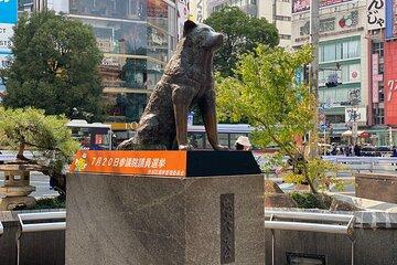 Discover Shibuya Culture and Street Life with a Local Guide