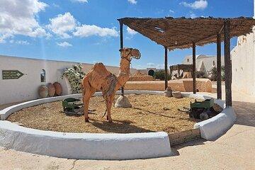 Djerba Highlights: Private Half-Day Tour