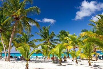 Beautiful Saona Island