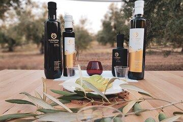 Mercedes Private Tour Olive Tasting & Wine Tasting..in the fields