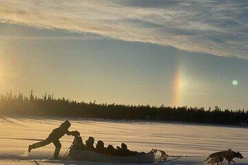 Traditional Dog Sledding Adventure in Yellowknife
