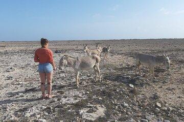 Private Tour of Bonaire