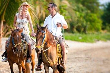 Horseback Riding Adventure to Macao Alto Beaches in Punta Cana
