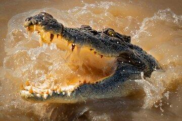 Croc Country Safaris