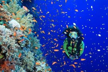 Advanced PADI Open Water Diving Course & Transfers – Marsa Alam
