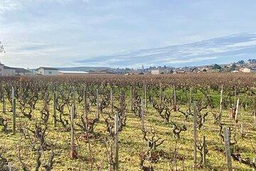 Private Tour in Beaujolais Tastings and Restaurant