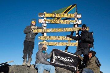 8-Day Lemosho Route Kilimanjaro Trekking Adventure