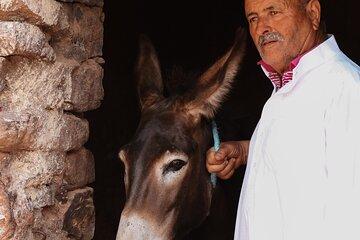 Secret Valley Tour with Home Cooked Berber Lunch