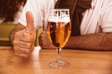 Zagreb craft beer tour and trip to the Slovenian beer fountain