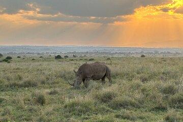 Nairobi National Park Game Drives and Giraffe Centre