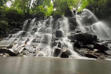 Best Of Hidden Waterfall And Ubud Private Tours